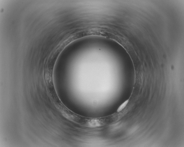 X0000062140091200512091226