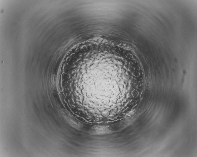 X0000062140093200512091226