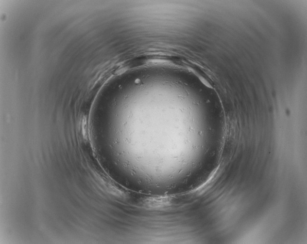 X0000062140094200512091226