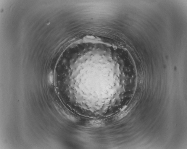 X0000062140095200512091226