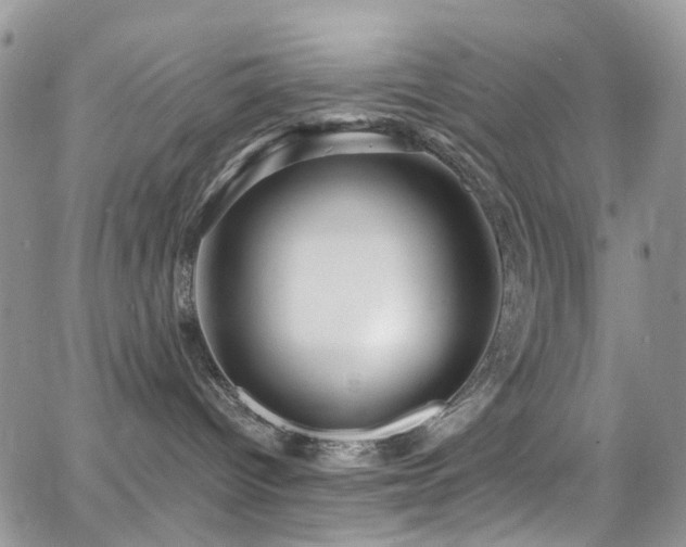 X0000062140096200512091226