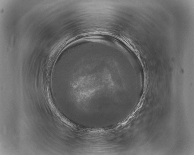 X0000062140097200512091225