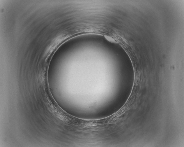 X0000062140098200512091225