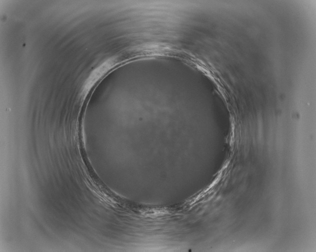 X0000062140099200512091225