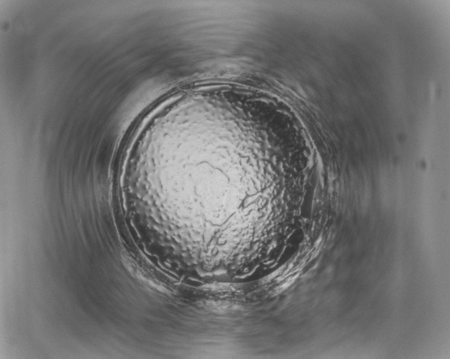 X0000062140100200512091225