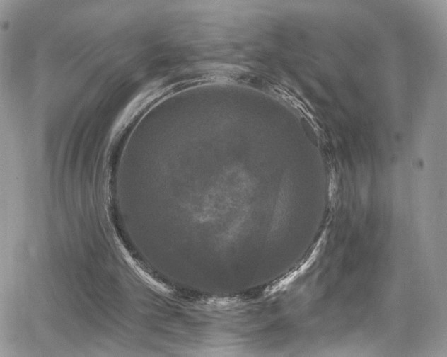 X0000062140101200512091225