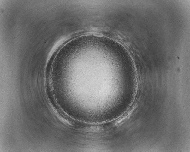 X0000062140102200512091225