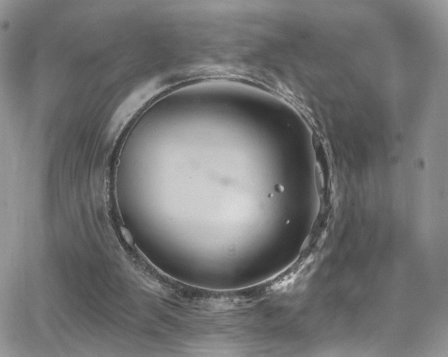 X0000062140103200512091225