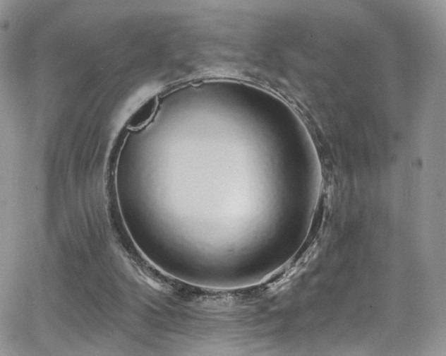 X0000062140104200512091225