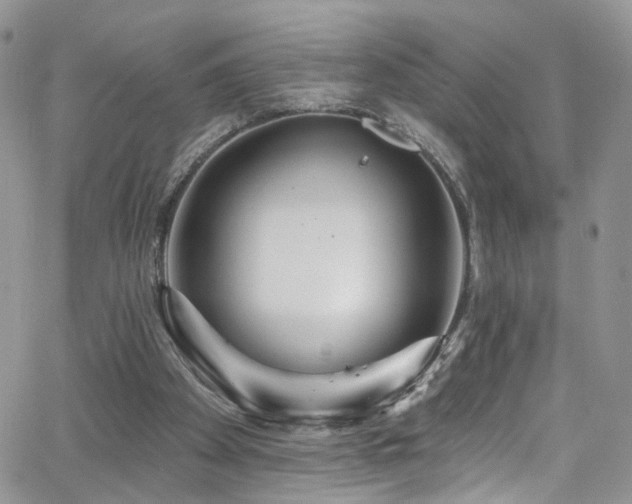 X0000062140105200512091225