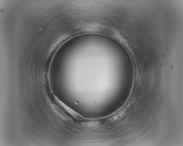 X0000062140106200512091225