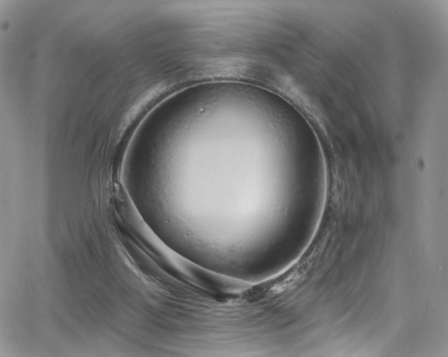 X0000062140107200512091225