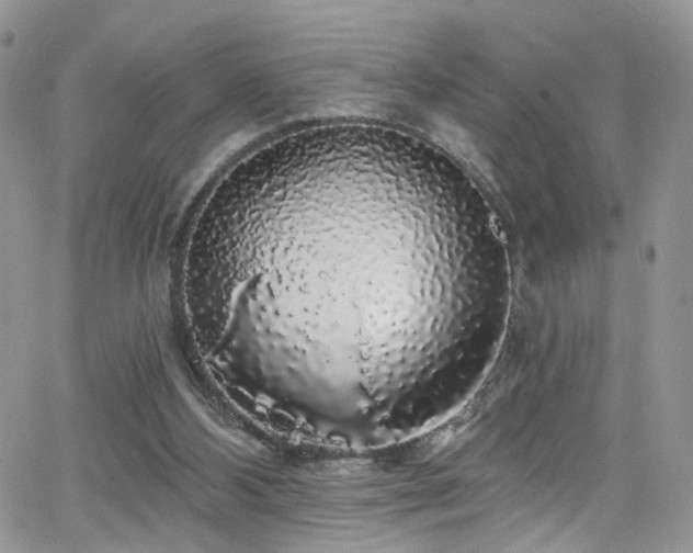 X0000062140108200512091225