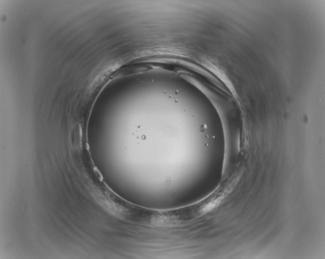 X0000062140109200512091225