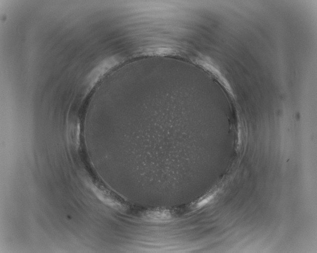 X0000062140110200512091225