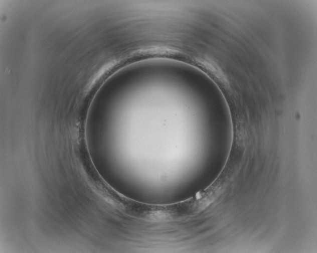 X0000062140111200512091225