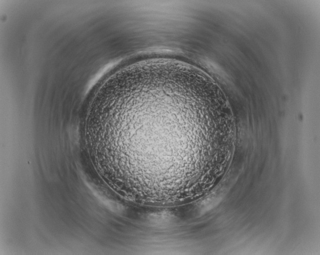 X0000062140112200512091225