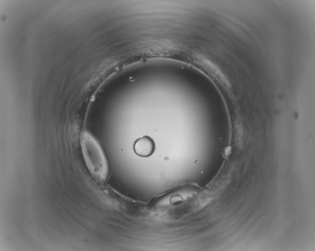 X0000062140113200512091225