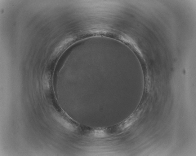 X0000062140114200512091225