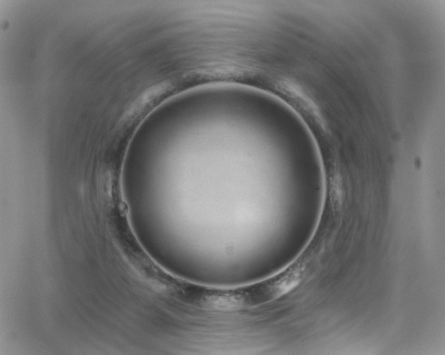 X0000062140115200512091225