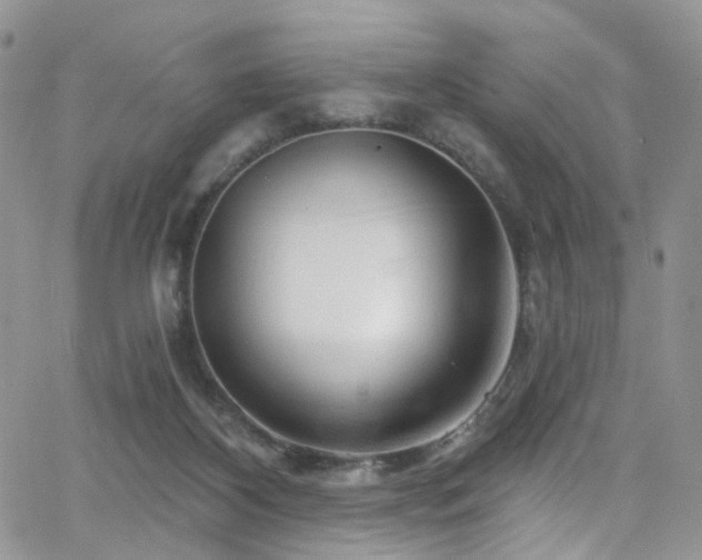 X0000062140116200512091225