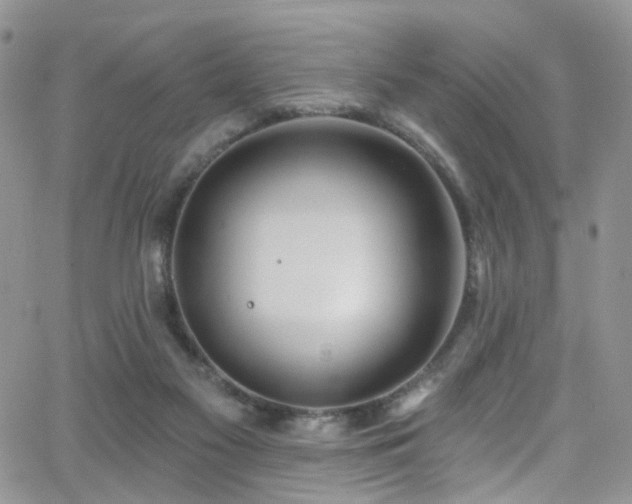 X0000062140117200512091225