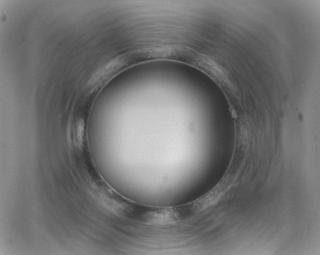 X0000062140118200512091225