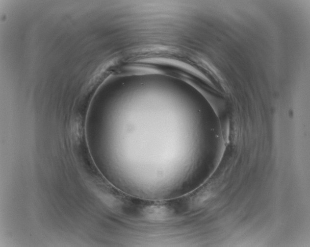 X0000062140119200512091225