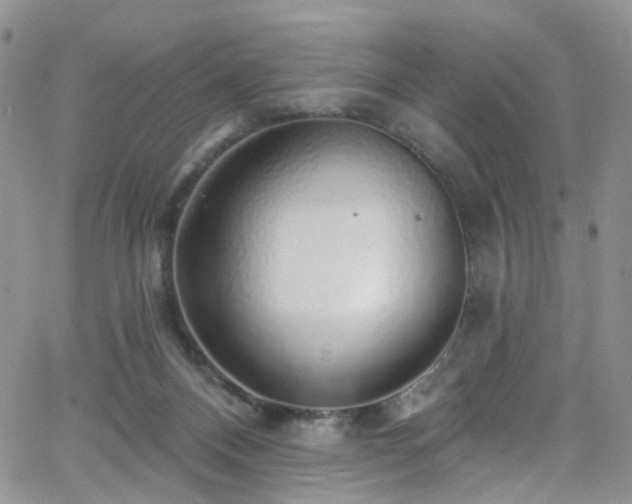 X0000062140120200512091225