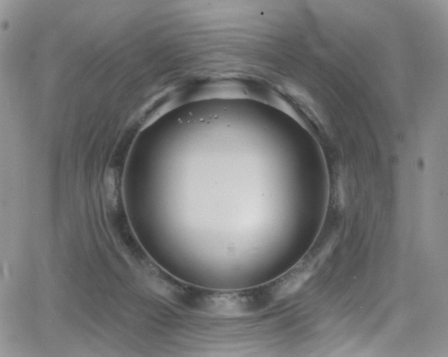 X0000062140121200512091225