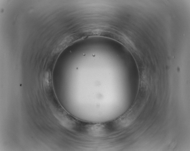 X0000062140122200512091225