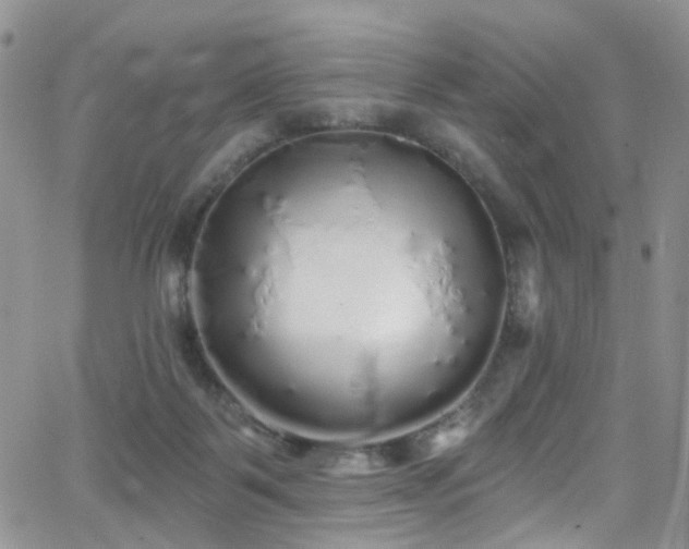 X0000062140123200512091225