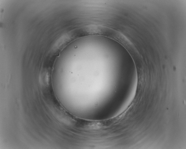 X0000062140124200512091225