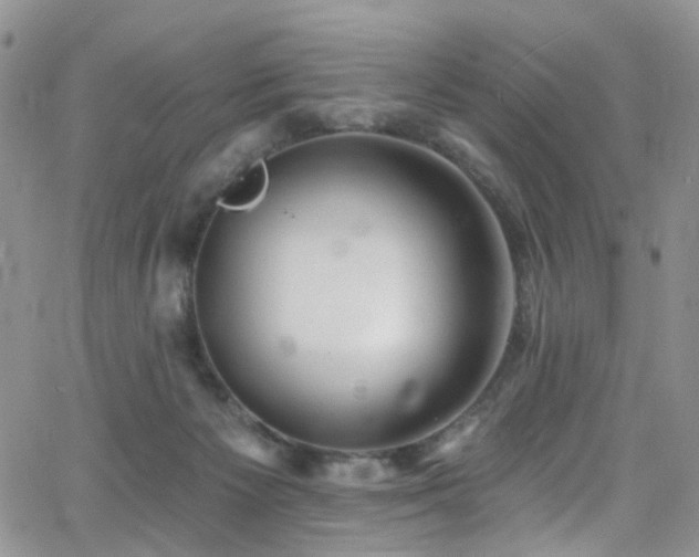 X0000062140125200512091225