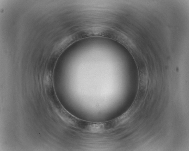 X0000062140126200512091225