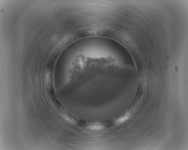 X0000062140127200512091225