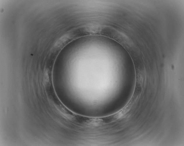 X0000062140128200512091225