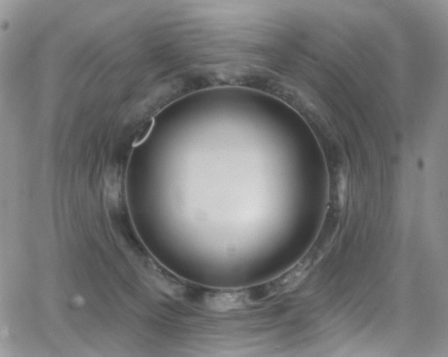 X0000062140129200512091225