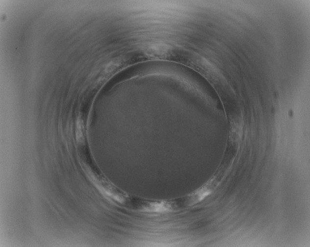 X0000062140130200512091225