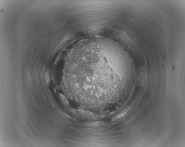 X0000062140131200512091225