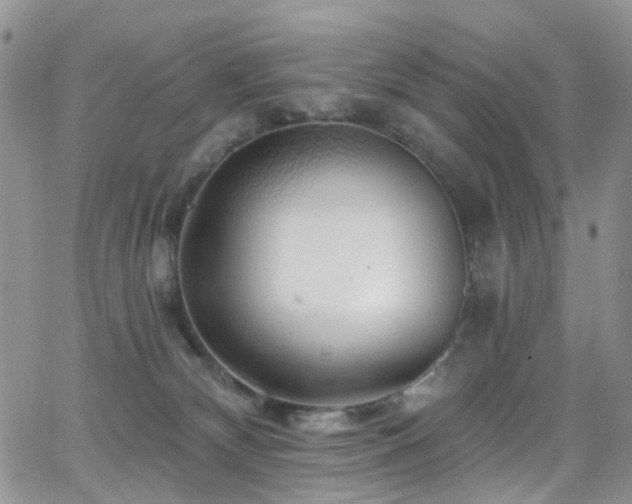 X0000062140132200512091225