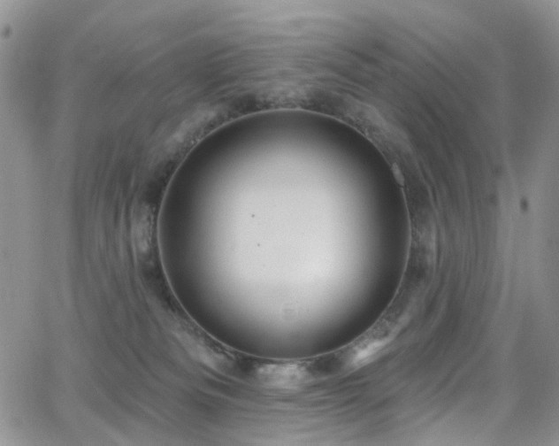 X0000062140133200512091225