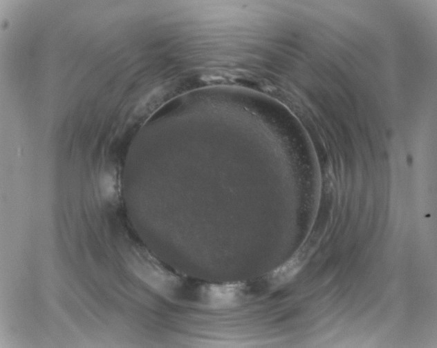 X0000062140134200512091225