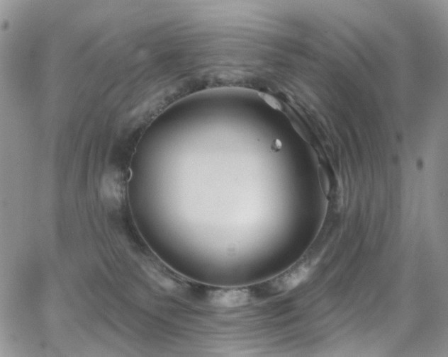 X0000062140135200512091225