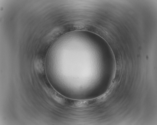 X0000062140136200512091224