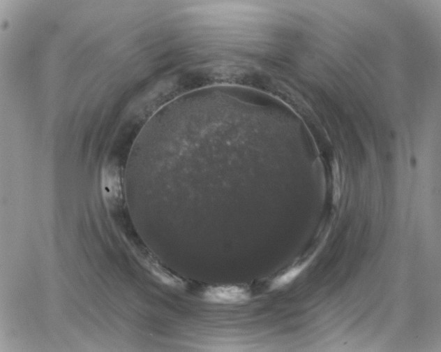 X0000062140137200512091224