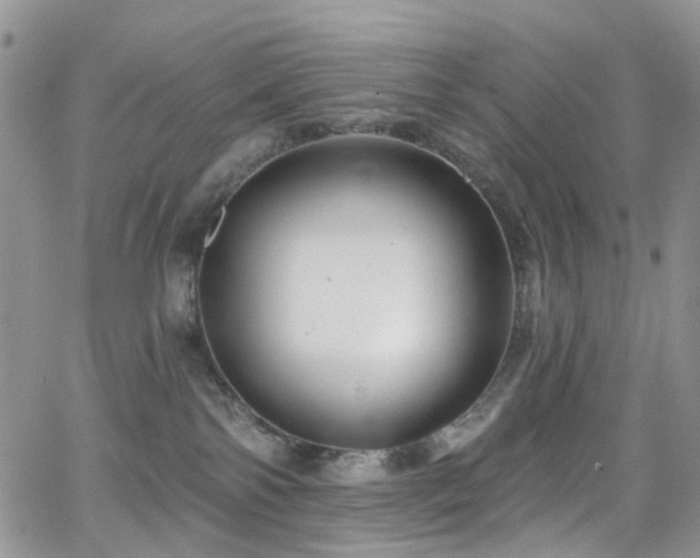 X0000062140138200512091224