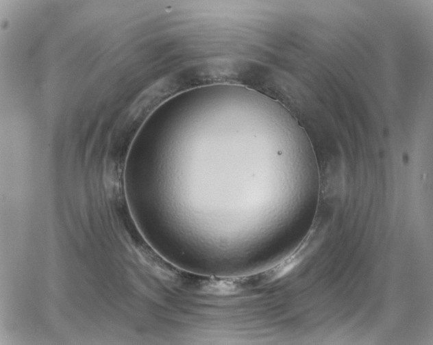 X0000062140140200512091224