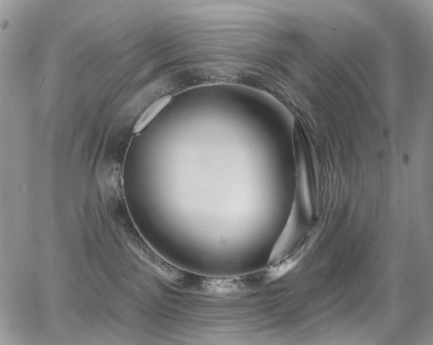 X0000062140141200512091224