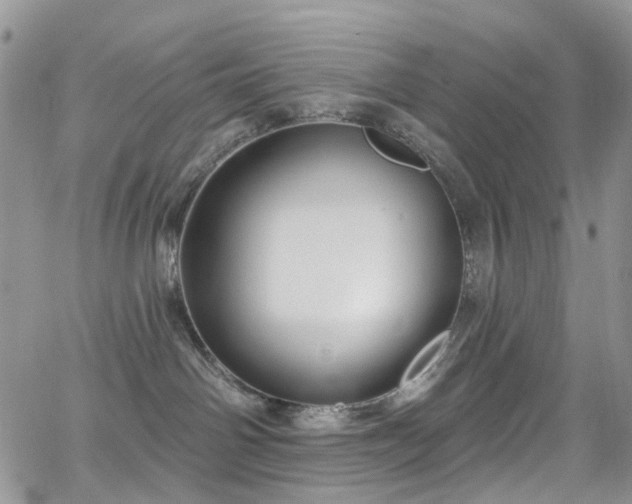 X0000062140142200512091224